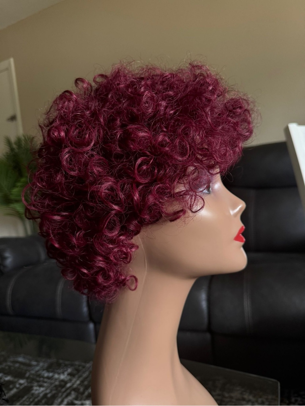 Short Curly Wig in Deep Burgundy - Women Hair